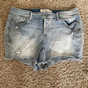 Torrid shorts